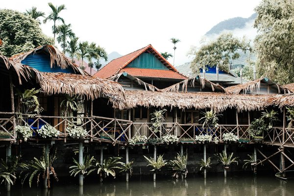 Comment planifier une visite des plantations de café dans les hauts plateaux du Vietnam?